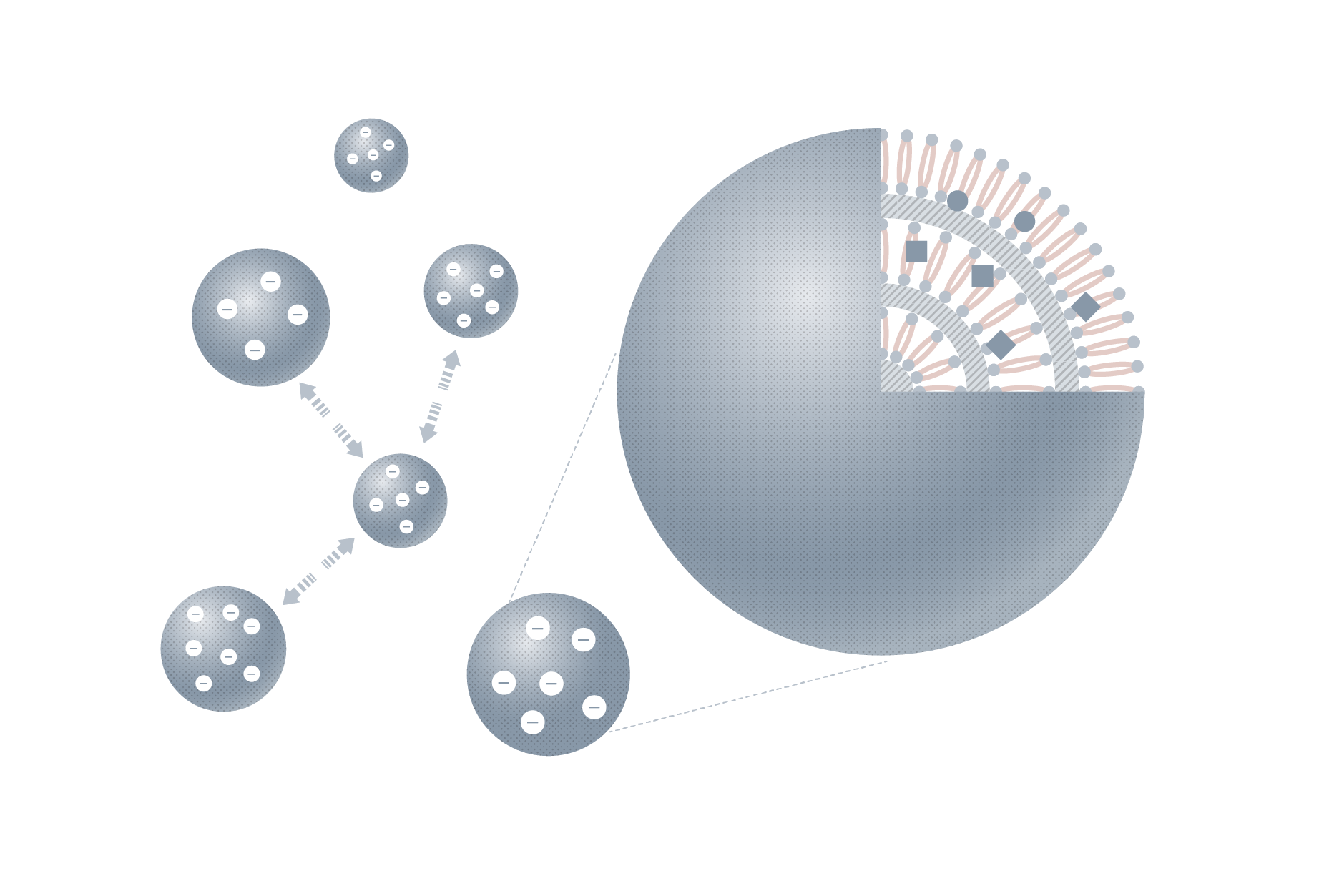 The Lotion 200mL - Aetās